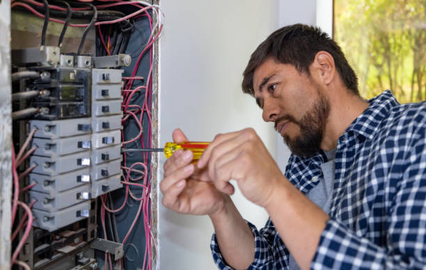 Best Electric Panel Repair  in St Charles, MO